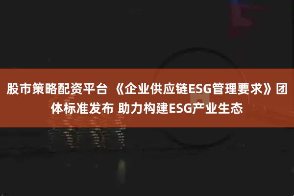 股市策略配资平台 《企业供应链ESG管理要求》团体标准发布 助力构建ESG产业生态